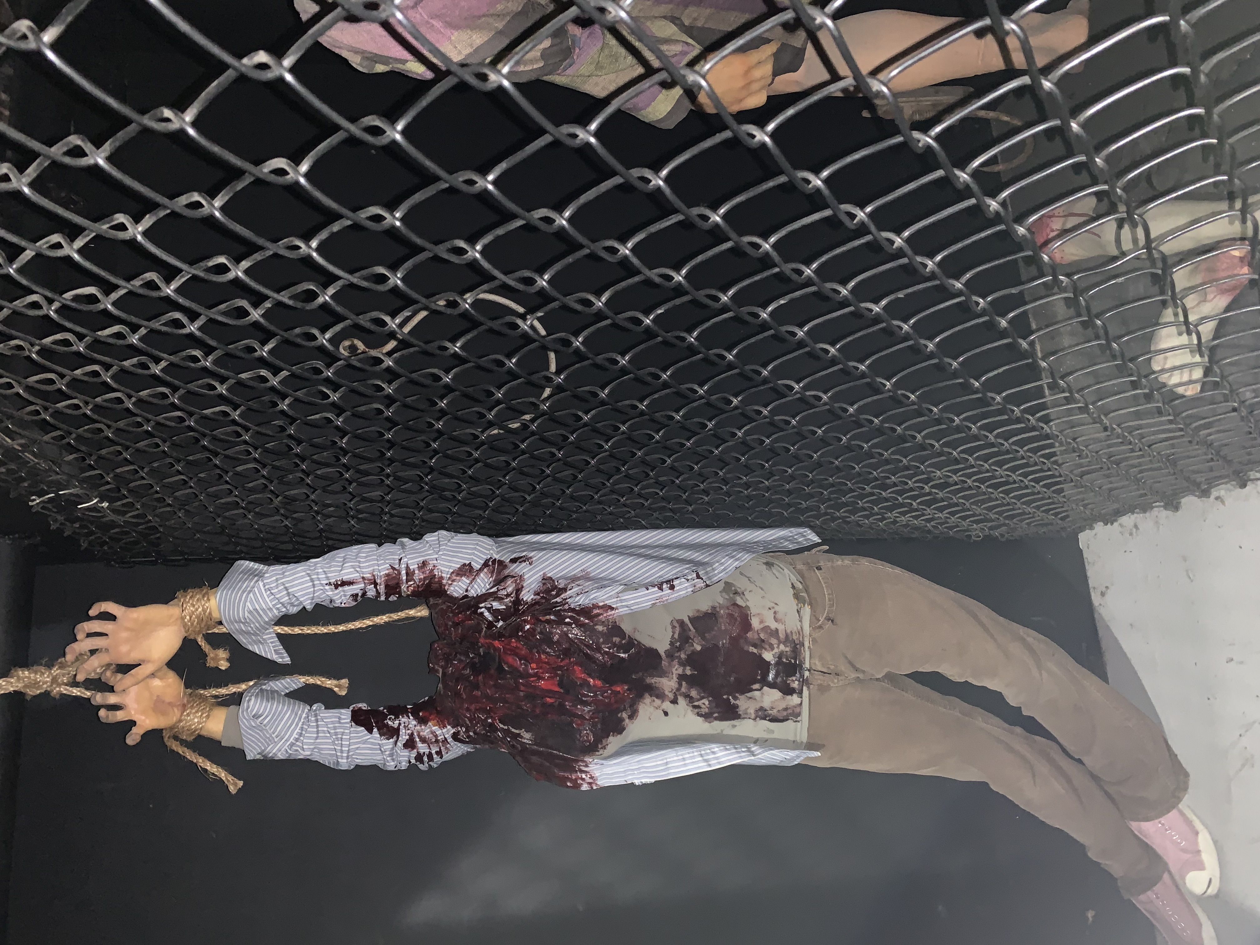 ./2022/06 - St Louis/06 - Day 6/20220526-153130818.JPG